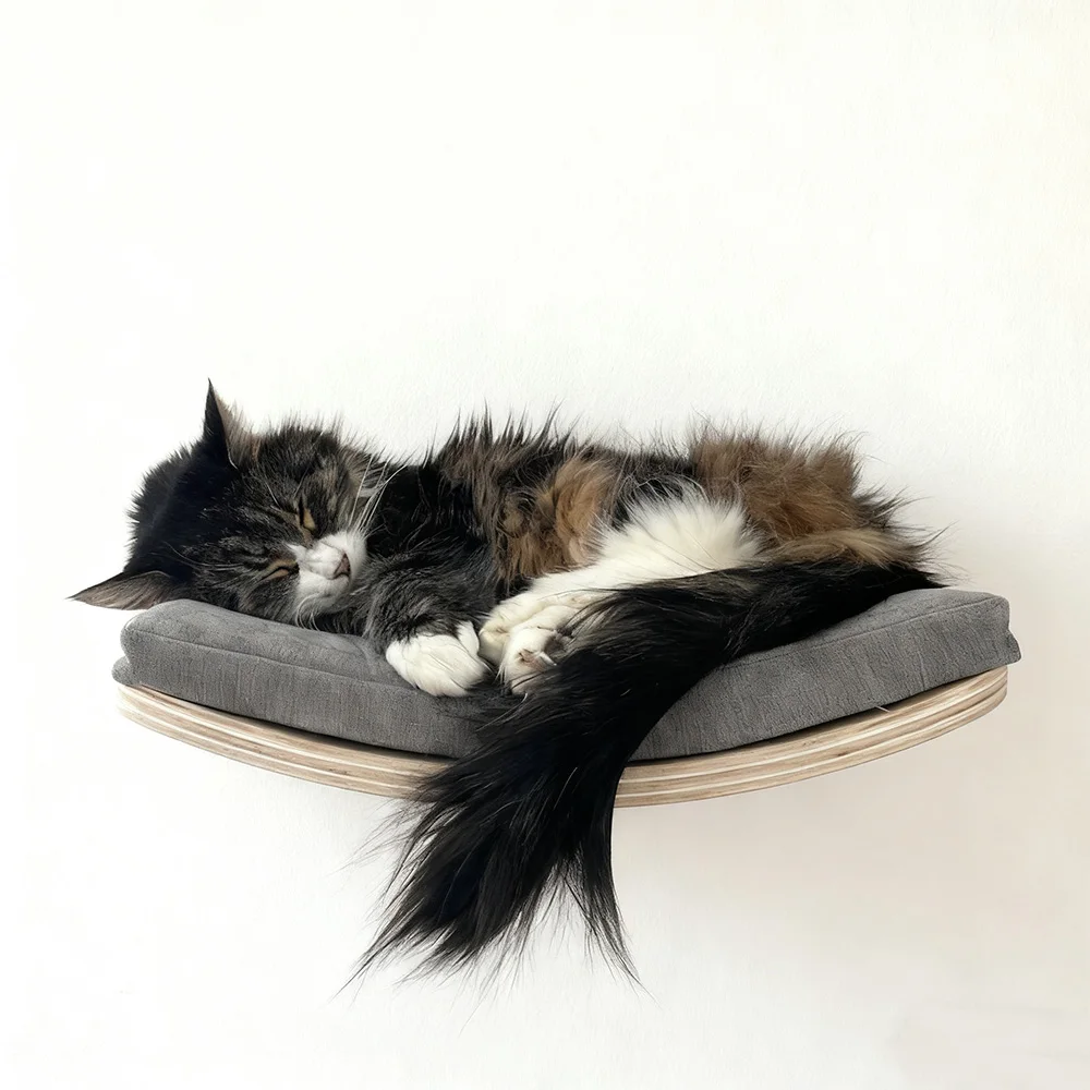 Centro de actividades para gatos montado en la pared con estante, cama y perchas, cojín suave, muebles para gatos para gatitos y gatos adultos de interior, escalada - imagen 4