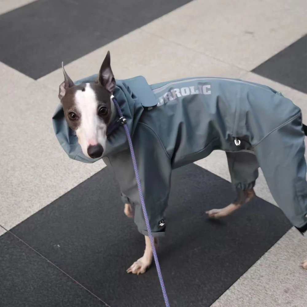 Impermeable para perros con cuello alto - Ajuste cómodo en tallas - imagen 3