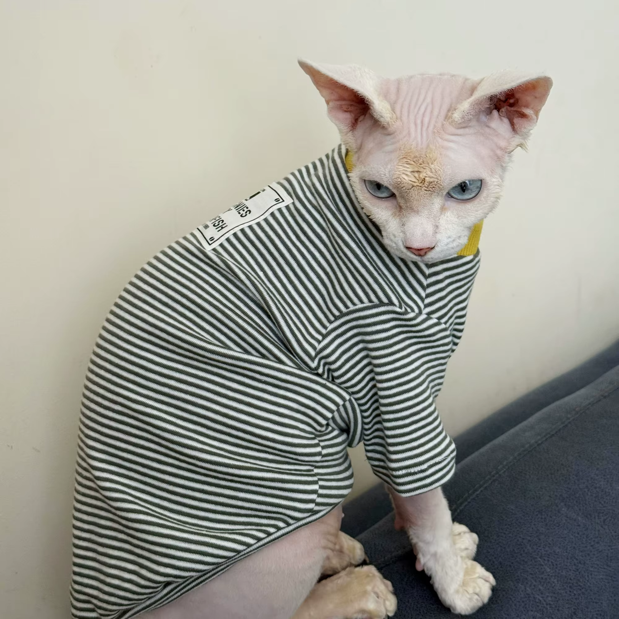 Camiseta algodón rayas manga larga para gatos Esfinge – Abrigo otoño - imagen 3