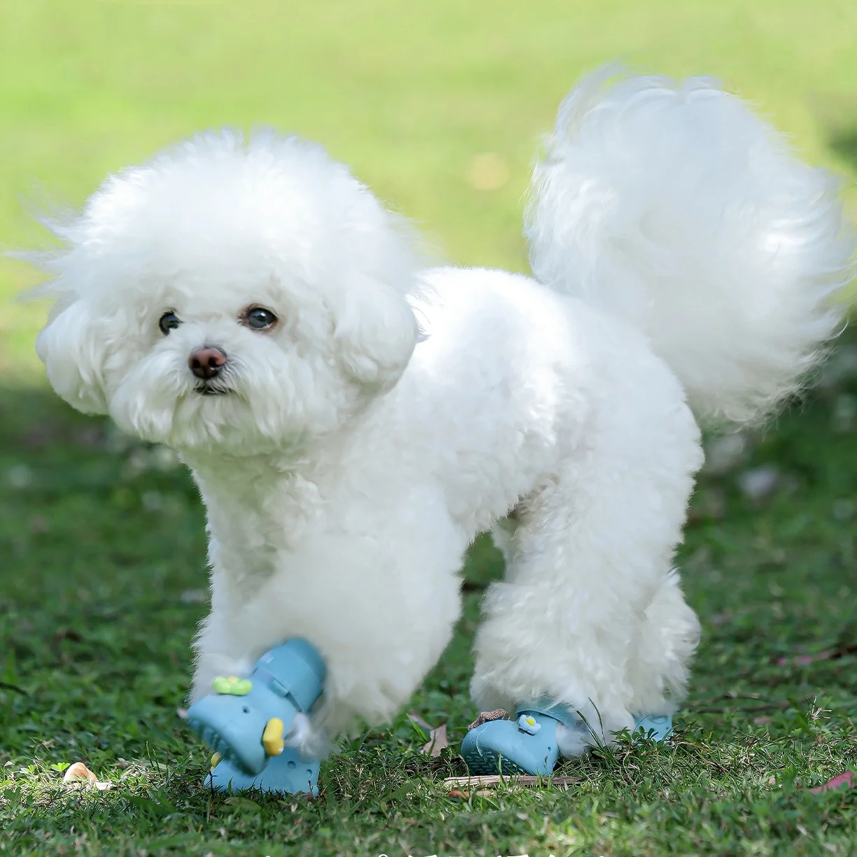 Zapatos de zuecos para mascotas, sandalias de verano para perros, zapatos transpirables duraderos para perros, zapatos impermeables para la lluvia para mascotas, zapatos de zuecos para perros y gatos - imagen 2
