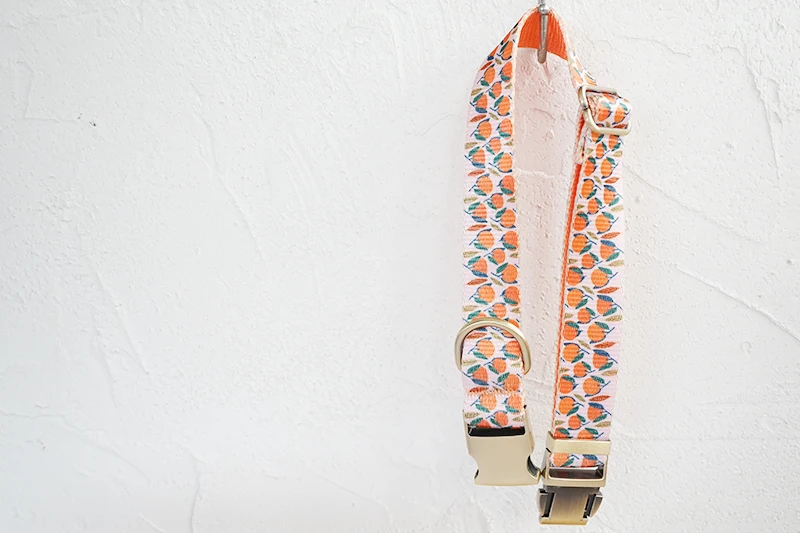 Guía de tallas collar