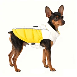 Chaqueta de plumón para perro Pinscher - abrigo cálido de invierno