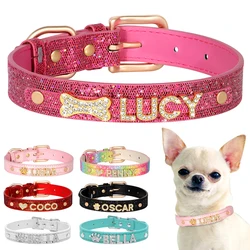 Collar identificativo para perro con placa grabada