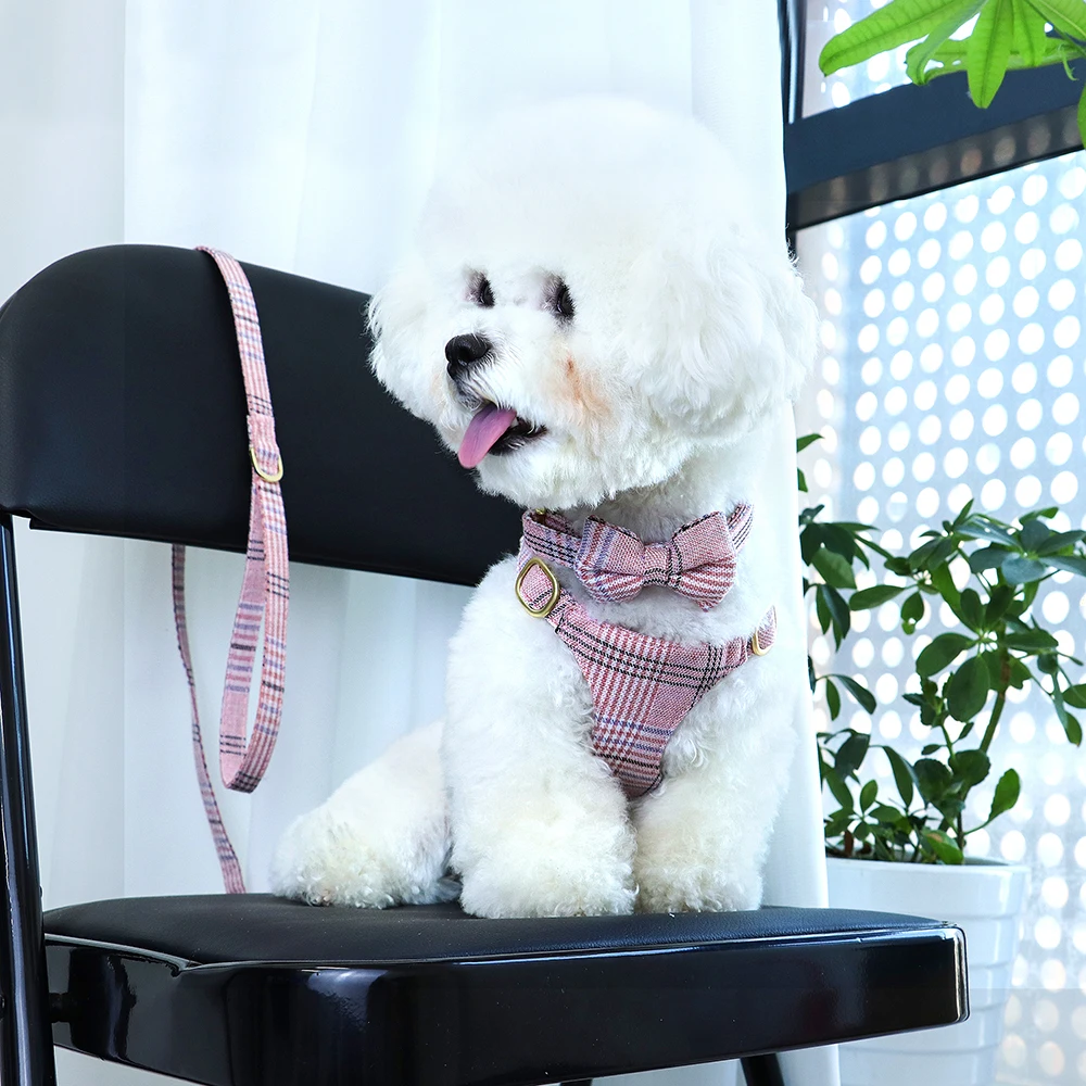 Collar de nailon para perro, conjunto de correa con arnés, arneses ajustables para cachorros, chaleco, collares bonitos con lazo para mascotas con plomo para perros pequeños y medianos - imagen 5