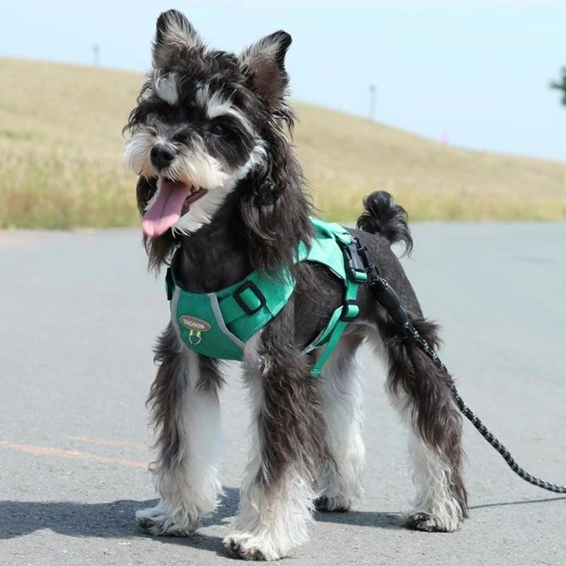 BOOTEELY Arnés de Bulldog Francés Chaleco Ajustable para Mascotas Reflectante Verano Transpirable Shiba Inu Arnés Contiene Golosinas - imagen 3