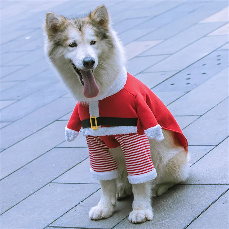 Disfraz navideño para mascotas, ropa bonita para padre y Navidad para perros grandes, ropa navideña súper divertida de Labrador Golden Retriever - imagen 3
