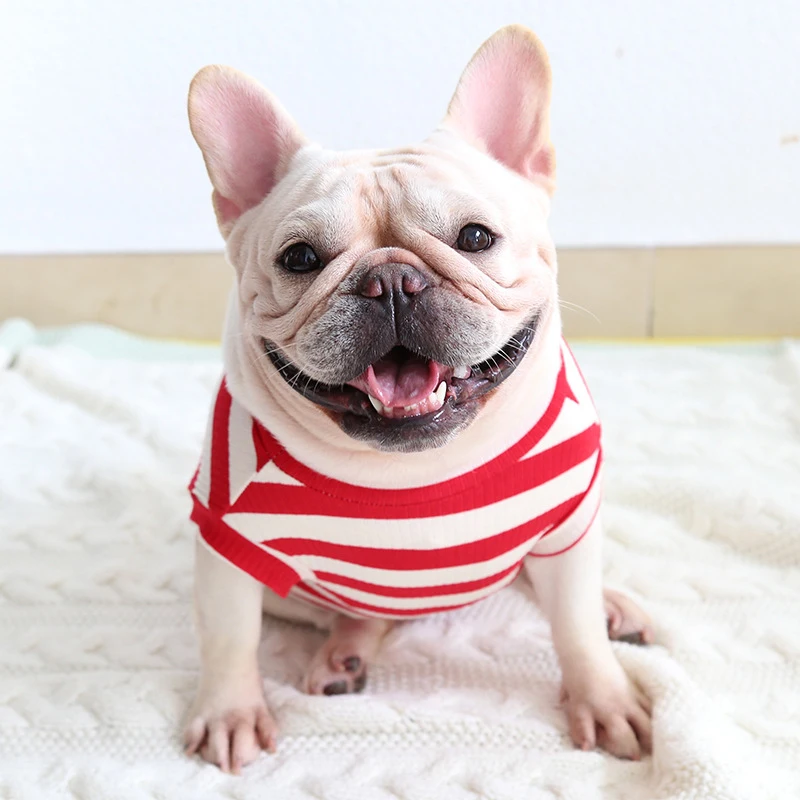 Ropa de Bulldog Francés para perro y gato, camiseta de perro y Pug galés, chaleco Schnauzer Bichon, accesorios de disfraces de Dachshund de verano - imagen 4