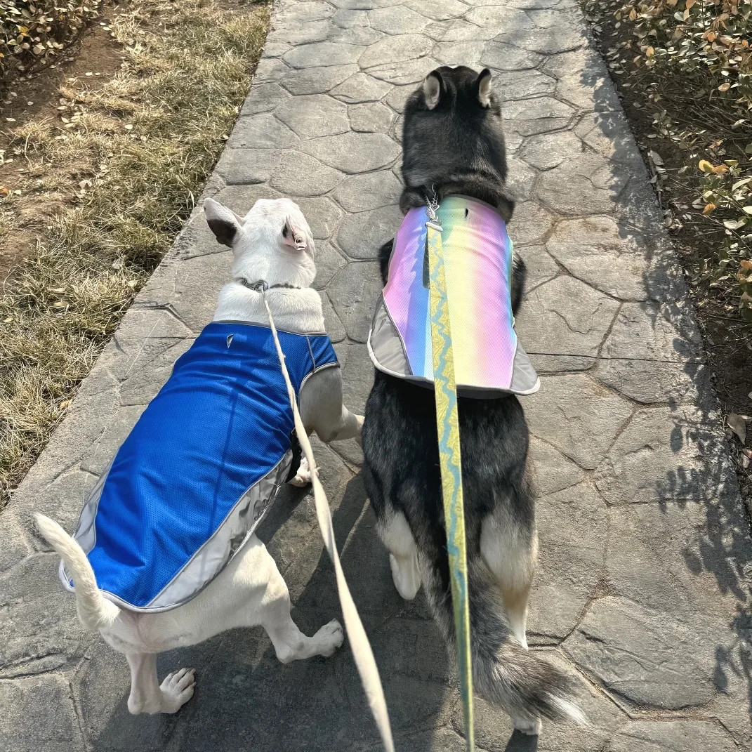 Chaleco refrescante de verano para perros, ropa de malla transpirable para perros pequeños, medianos y grandes, ropa de natación para Bulldog Francés para caminar al aire libre
