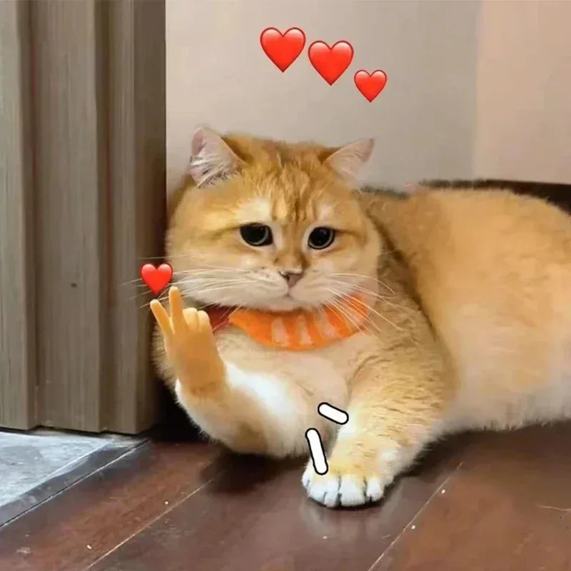 Divertidos juguetes interactivos para dedos de gato, guantes de mano falsos suaves TPR para burlas, Mini manos creativas para entretenimiento de gatos, novedad - imagen 2