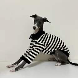 Camisa polo elástica para perros – Algodón, otoño e invierno