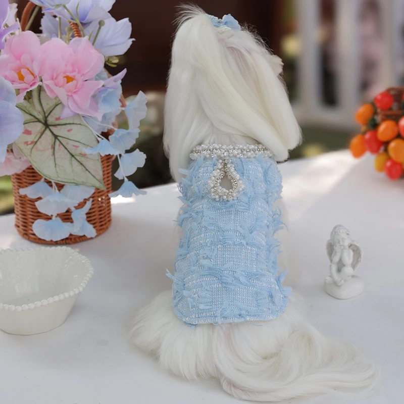 Chaleco bonito para mascotas, ropa de princesa para mascotas, mono para perros pequeños, cárdigan, ropa para cachorros, chaleco para perros, otoño e invierno