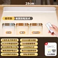 Remote Control model
