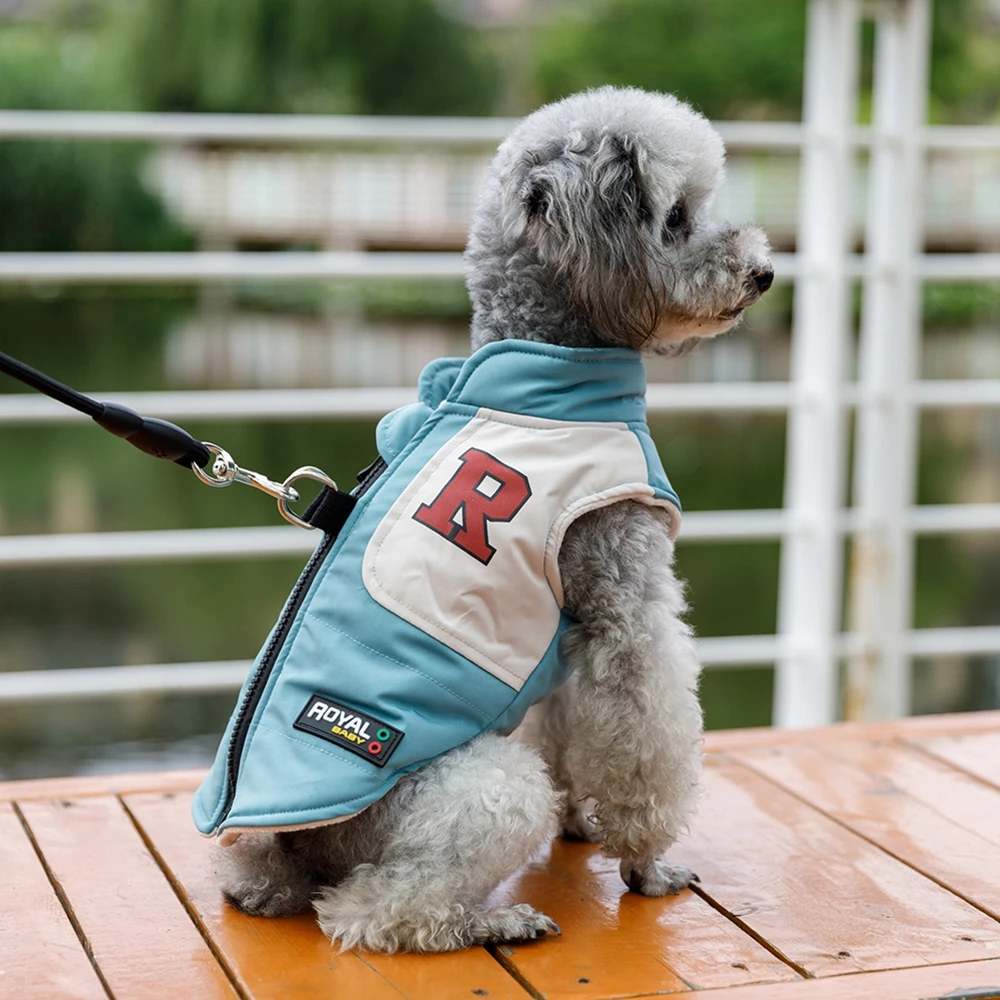 Chaqueta impermeable con arnés y correa para perro, ropa cálida de invierno para perros pequeños y medianos, abrigo para Chihuahua, traje de Bulldog Francés - imagen 3