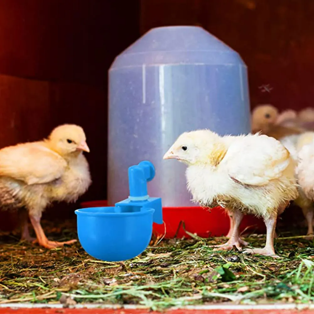 Juego de bebedero automático para pollos, taza de agua para pollos, patos, ganso, pavo y codorniz - imagen 5