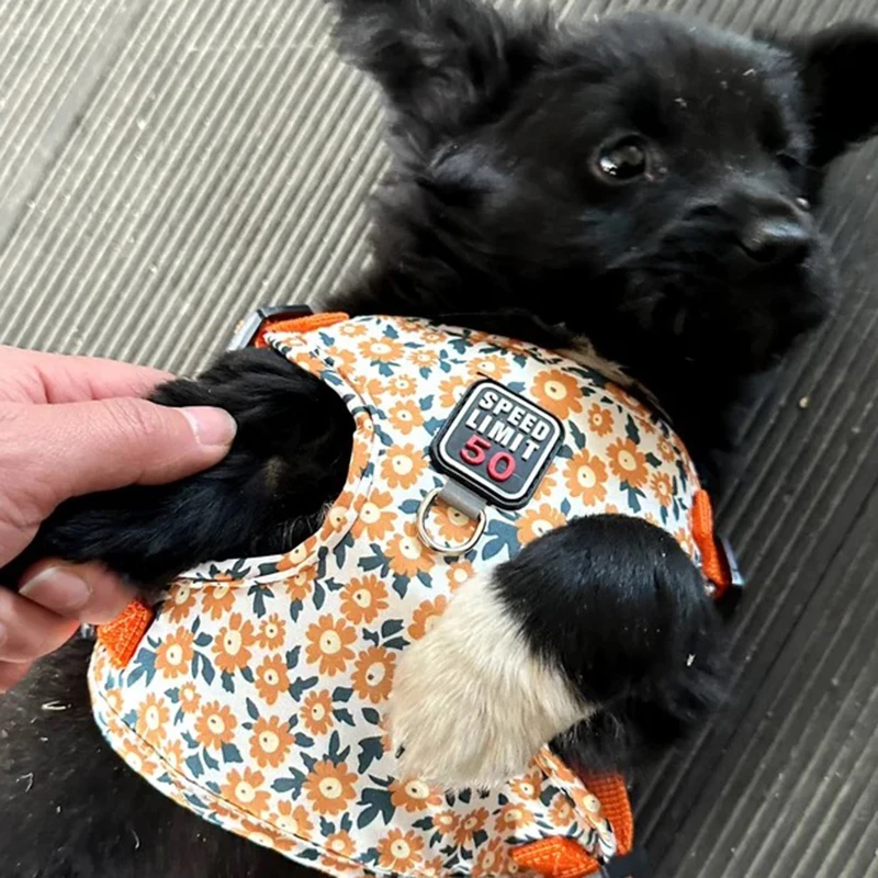 Arnés y correa para perros medianos con estampado Floral, conjunto de arnés reflectante para mascotas, chaleco para perros pequeños, Bulldog Francés, Shiba Inu, cables - imagen 3