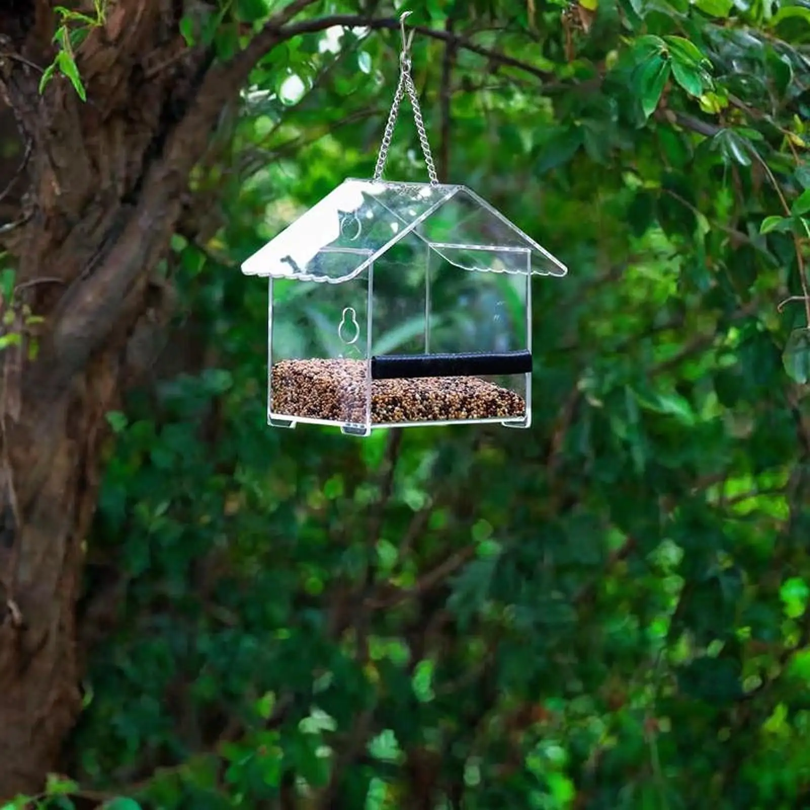 Window Bird Feeder with 2 Strong Suction Cups Transparent Acrylic Bird House