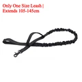 Black Dog Leash