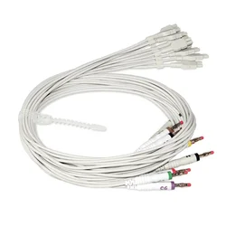 Cable USB ECG para gatos y perros – Uso veterinario en casa