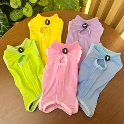 Pijama para gata hembra – ropa cómoda de hogar