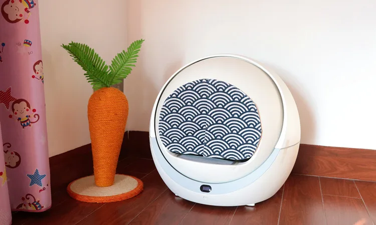 hmqViviiyNSAyin6WuaftwN6oR54f0uccgoz