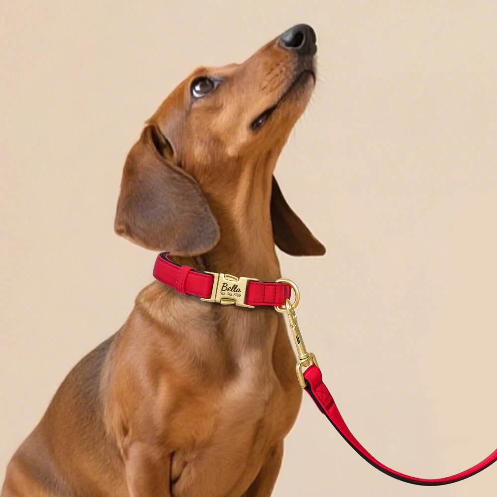 Collar de perro personalizado, conjunto de correa, Collar de nailon duradero para perro, collares para cachorros con grabado gratis con plomo resistente al agua para perros Pug - imagen 5