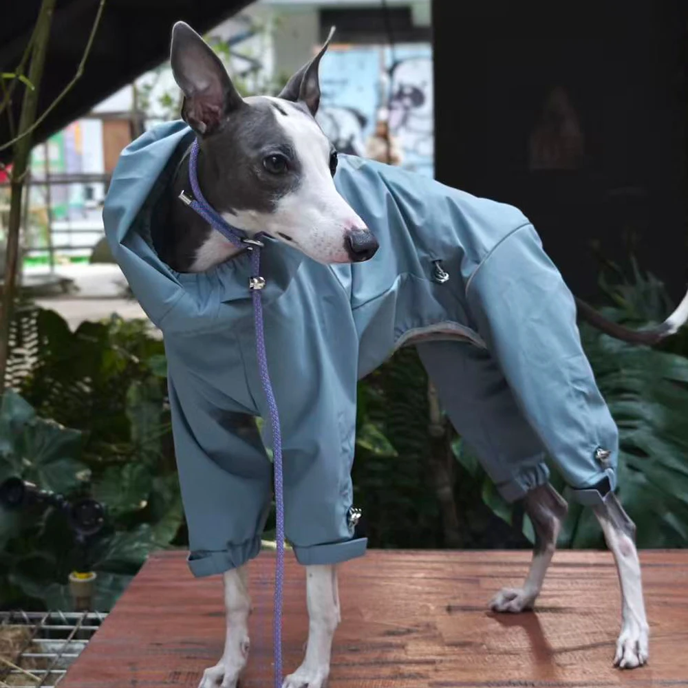 Impermeable para perros con cuello alto - Ajuste cómodo en tallas - imagen 2
