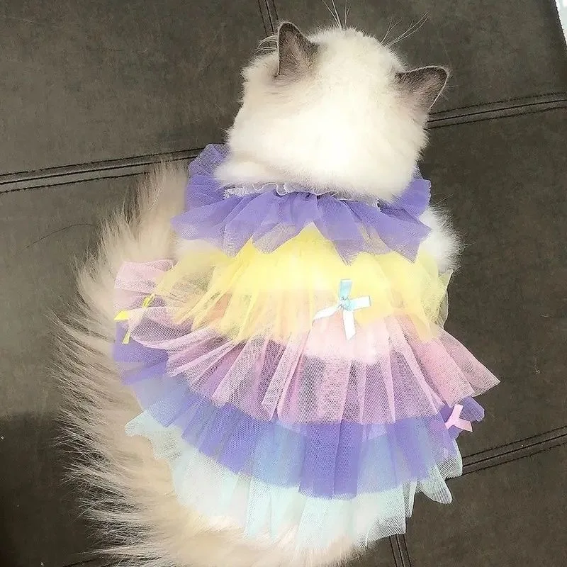 Ins perro verano gato mariposa princesa vestido ropa encaje perla cachorro falda de boda para York Chihuahua caniche vestidos para perros pequeños - imagen 2