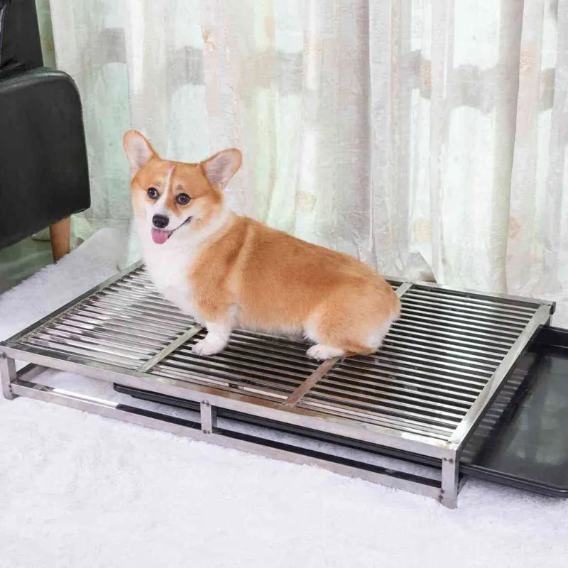 Cajas arena perros interior inodoro - vista principal