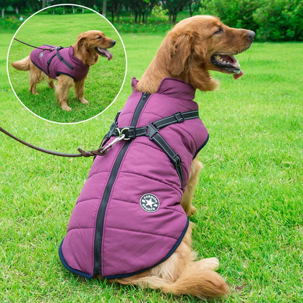 Chaqueta de invierno impermeable y reflectante para perros pequeños - imagen 5