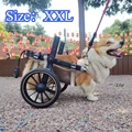 XXL