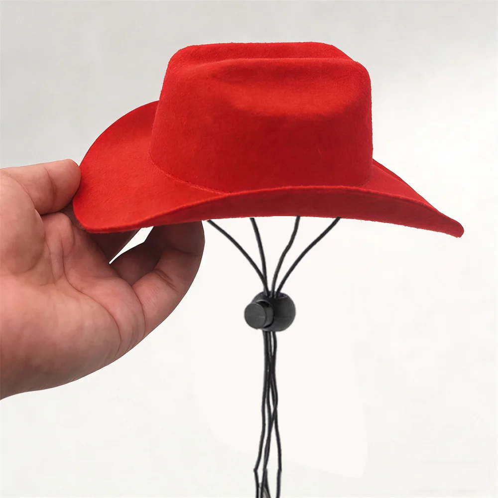 Sombrero vaquero ajustable para gatos Sphynx y siameses – fotos y aseo - imagen 4