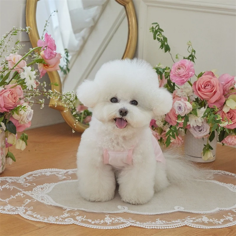 Falda rosa con tirantes de encaje para mascotas, ropa para gatos, Teddy Schnauzer, ropa de dormir para el hogar, chaleco de encaje para perros pequeños, ropa para cachorros - imagen 2