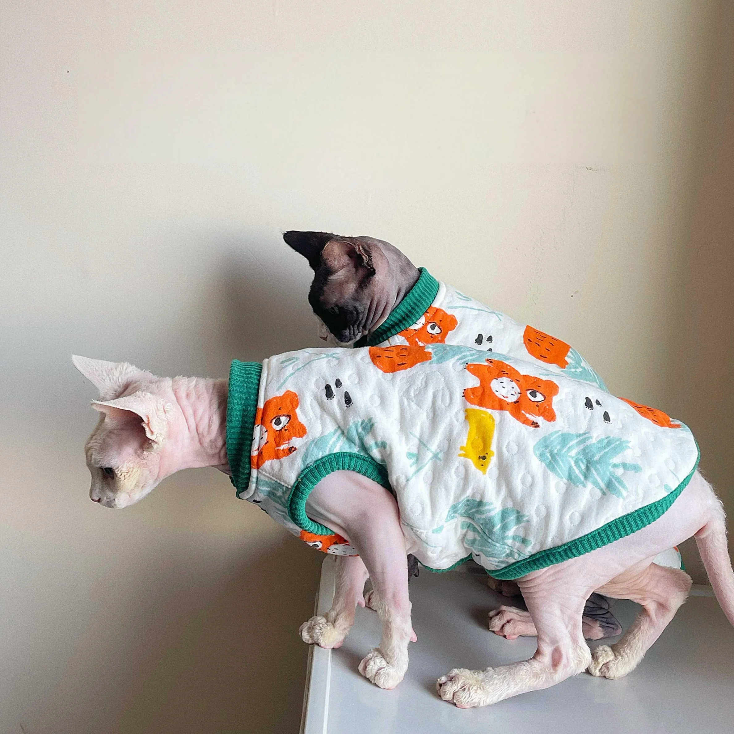 Chaleco de algodón suave para gatos Sphynx - abrigo de otoño - imagen 3