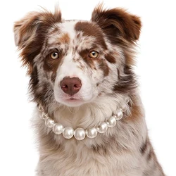 Collar de perlas para perros de lujo ajustable - medianos y grandes