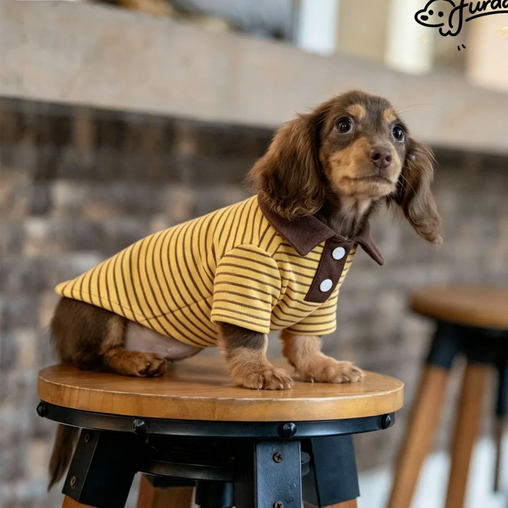 Camiseta de algodón a rayas para perro salchicha – Polo teckel - imagen 3