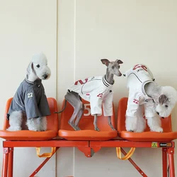 Jersey ligero transpirable para Whippet - Manga larga verano