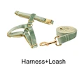 harness leash