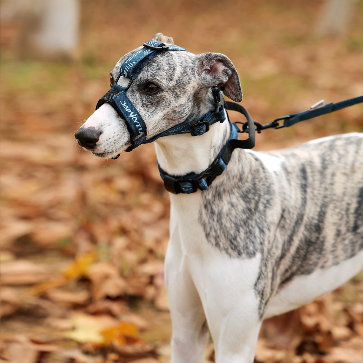 Collar con bozal antimordiscos para perros medianos y grandes - imagen 2