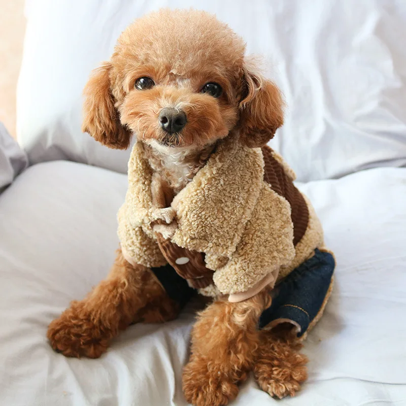 Ropa de cuatro patas con solapa de piel de cordero para mascotas, mono de perro, oso de peluche, traje de otoño, chaqueta gruesa a rayas, Parkas para perros - imagen 3