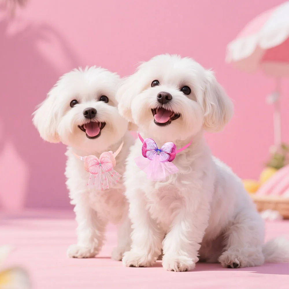 100 Uds pajaritas para perros a granel moda encaje mariposa pajarita para mascotas Collar para perros pequeños perros ajustables accesorios de aseo para mascotas - imagen 2