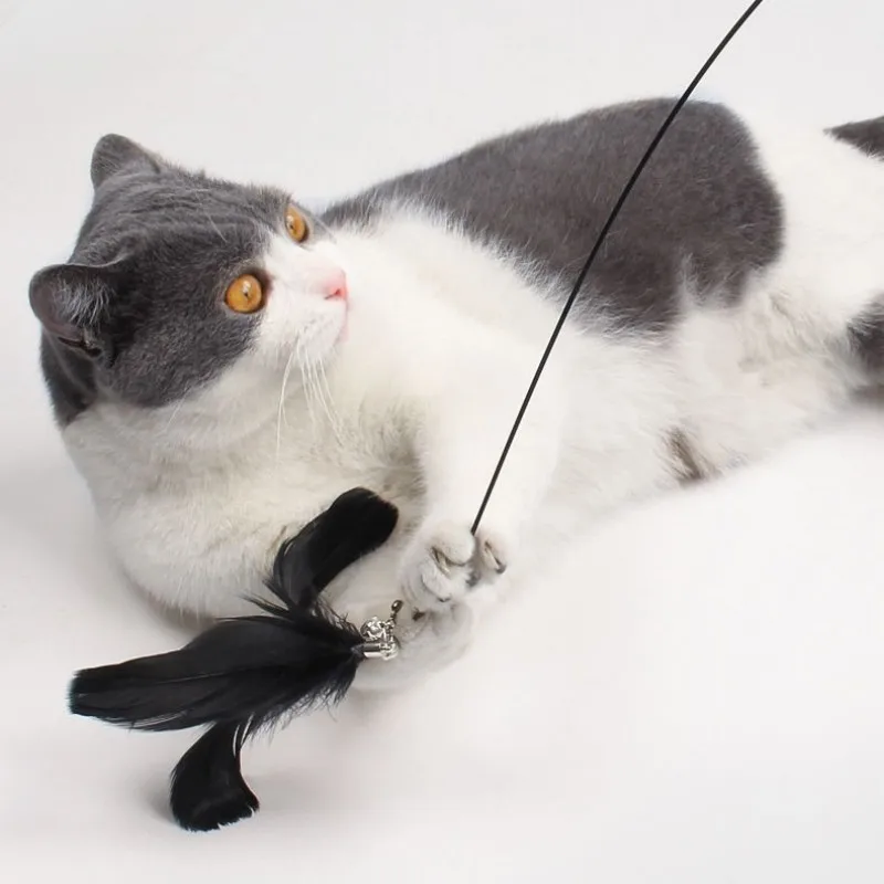 Juguetes retráctiles para gatos, palos interactivos de plumas, mango retráctil, productos para mascotas - imagen 2