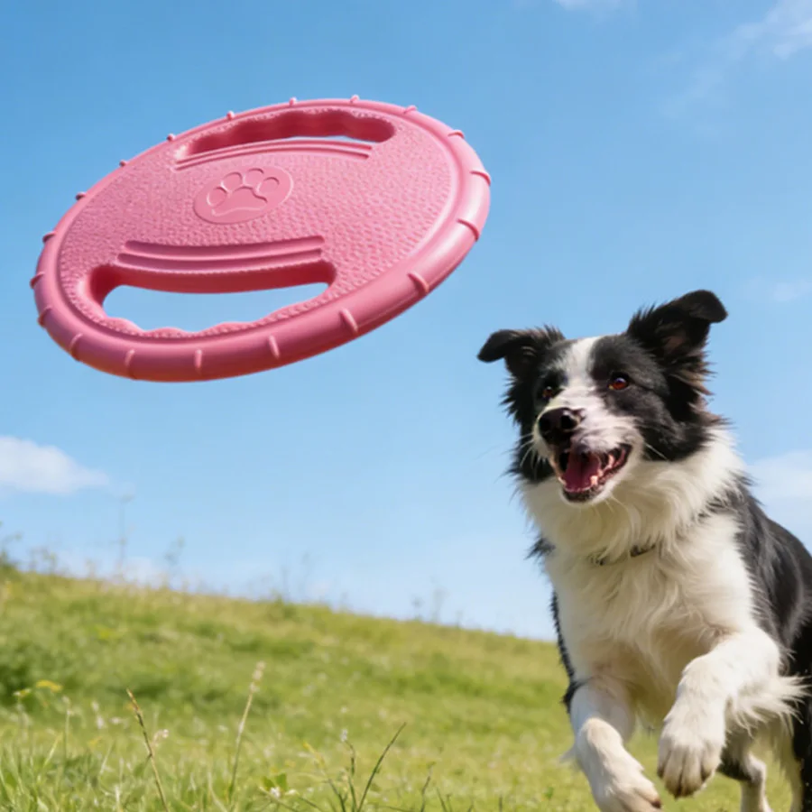Discos voladores para perros resistentes e interactivos para jugar - imagen 2