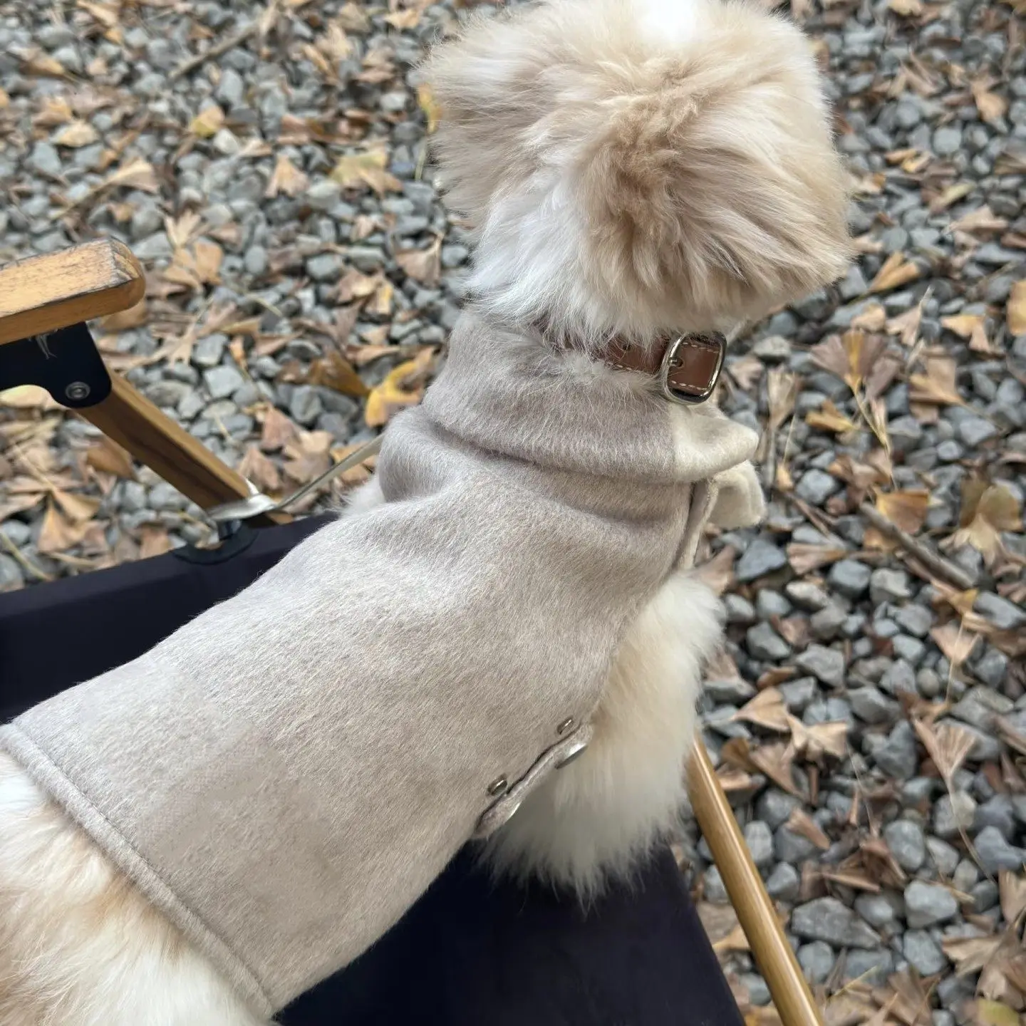 Cortavientos para perros pequeños Yorkie y Maltés – Otoño invierno - imagen 4