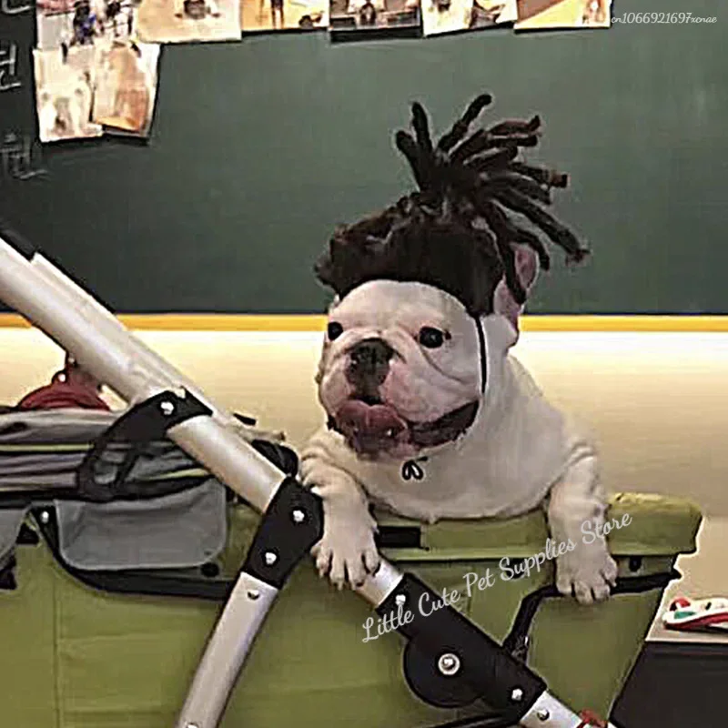Divertida peluca de Cosplay para perros, sombreros de moda, ropa, juguete, suministros para mascotas, vestido para perros para Halloween, fiestas de Navidad, festivales, pelucas para perros - imagen 3