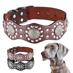 Collar de cuero resistente para perros grandes: Pitbull y Pastor alemán