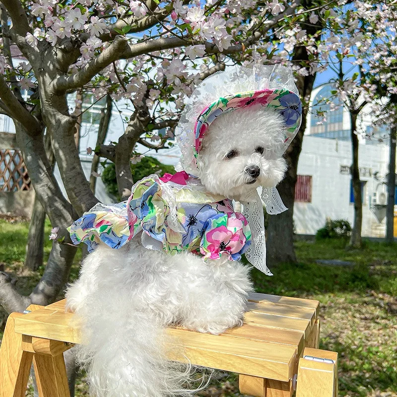 Vestido floral verano con lazo perros Chihuahua Bichón sombrero gatos - imagen 3