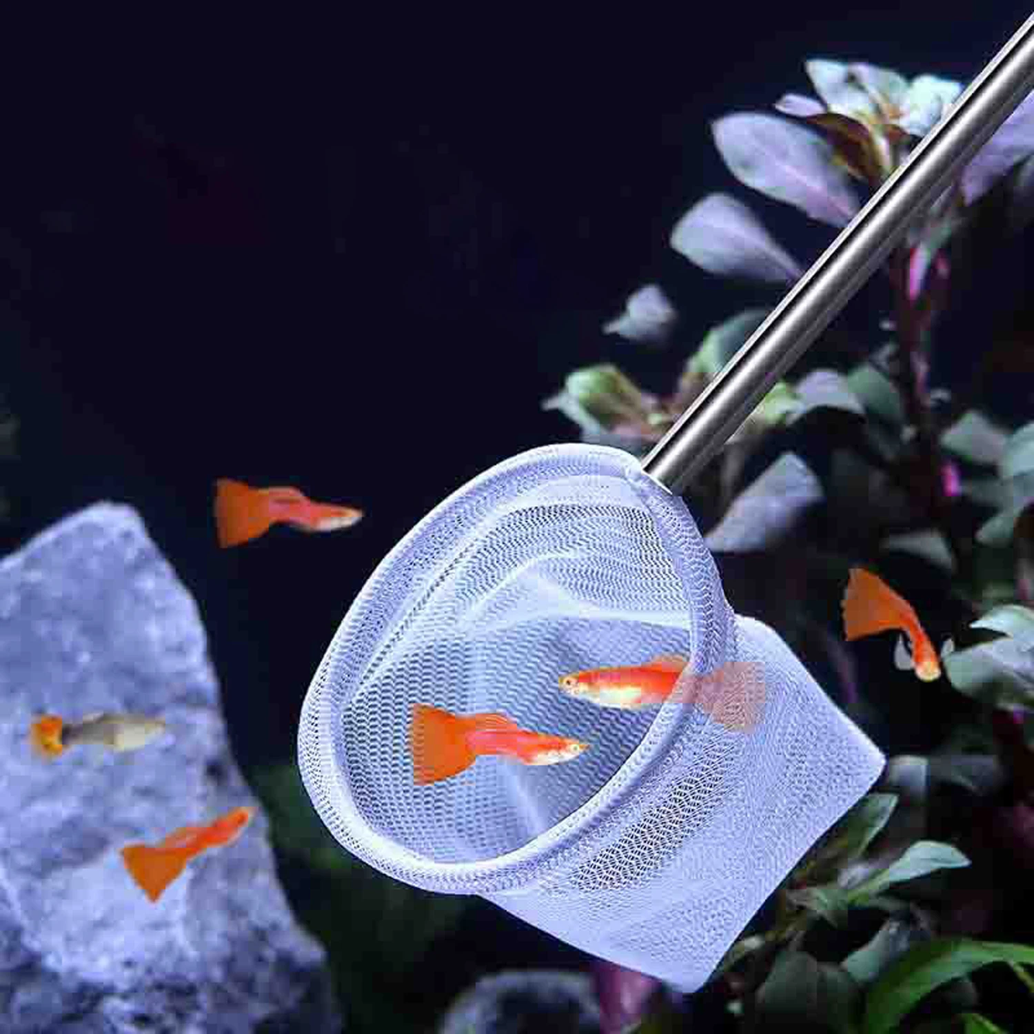 Red de pesca cuadrada para acuario con ventosa, equipo de pesca extensible con mango largo para atrapar peces, camarones, suministros limpios - imagen 3