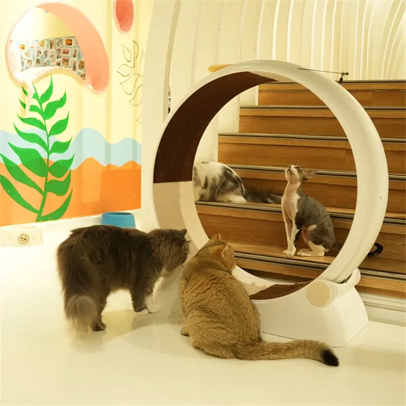 Cinta de correr con rodillo para gatos, silenciosa, respetuosa con el medio ambiente, de plástico, productos para mascotas, suministros, cinta de correr, accesorios deportivos, gatos y perros - imagen 2