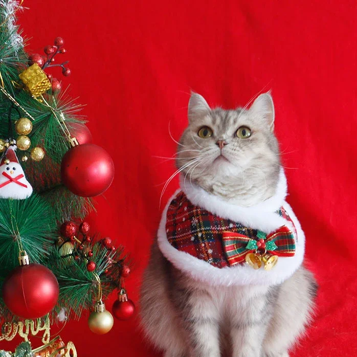 Capa navideña para perros y gatos, capa navideña para mascotas, bufanda para mascotas, joyería bonita y cálida para invierno, bufanda para el cuello para perros y gatos, accesorios para perros - imagen 2