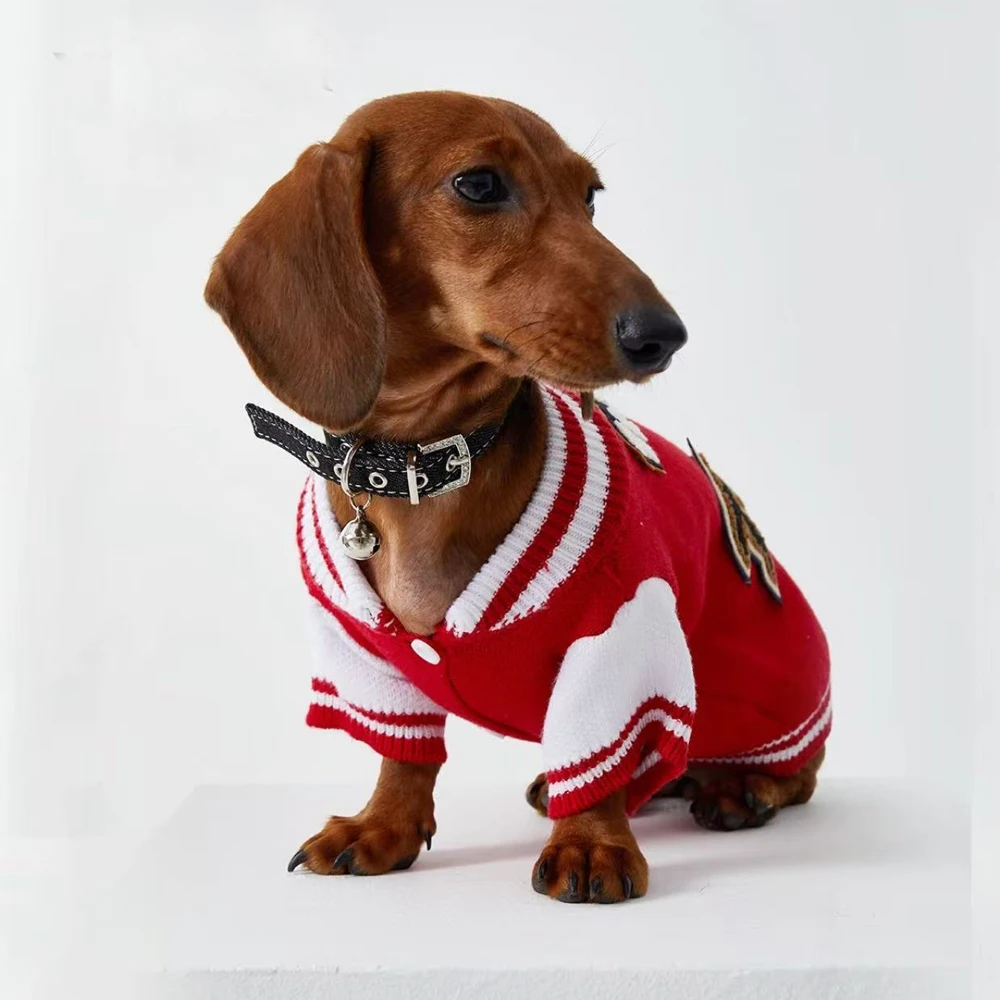 Suéter de punto de moda para perros Wiener, chaqueta cárdigan de invierno para perros tejón, mangas largas cálidas para perros salchicha en otoño